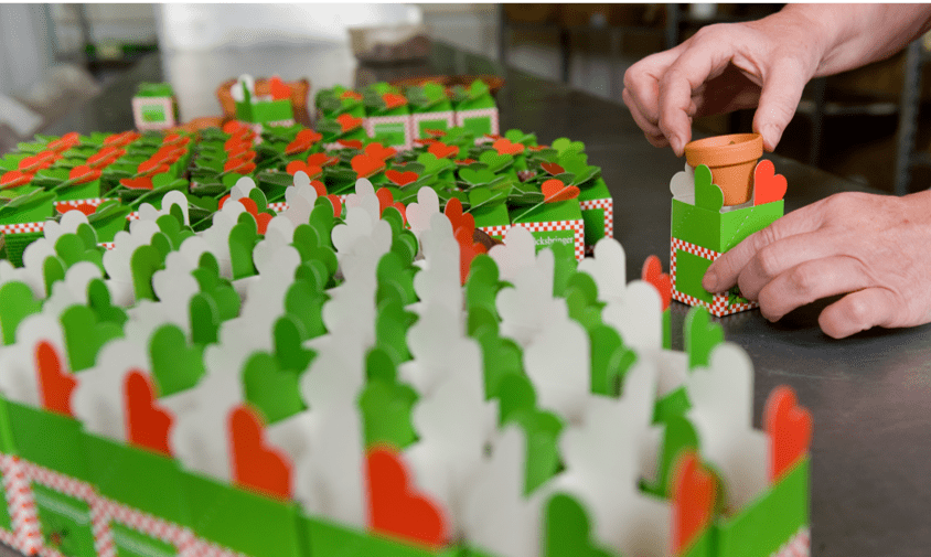 Florapresenta - Natürlich werben - Werbemittel